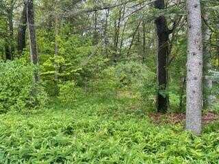 124 Cadillac Avenue lot: 119-120 & 143-144, Houghton Lake, MI 48629