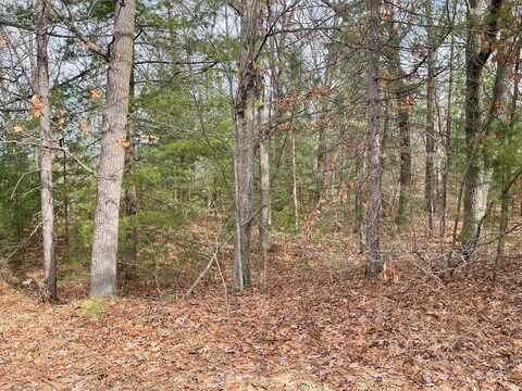 124 Cadillac Avenue, Houghton Lake, MI 48629
