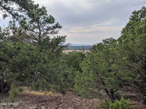 Lot 76 Dolly Drive, Vernon, AZ 85940