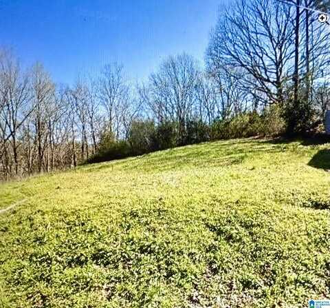 4709 6TH AVENUE, BIRMINGHAM, AL 35222