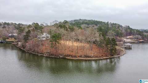 LAKE RIDGE POINT, TALLADEGA, AL 35160