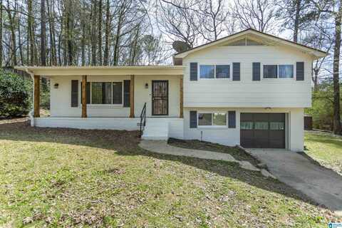 7366 OLD DIXIANA ROAD, PINSON, AL 35126