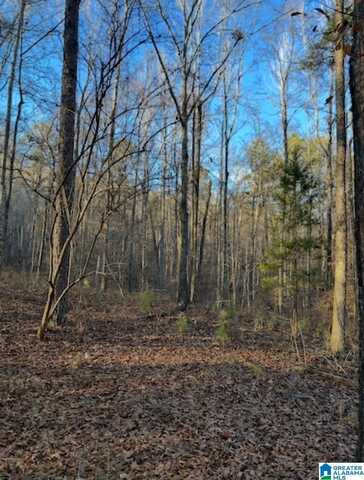 0 MOORE ROAD, ODENVILLE, AL 35120