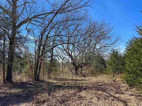 1461 Fairbanks Road, Bee Branch, AR 72013