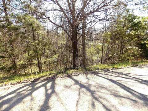 75 Trina Loop, Greenbrier, AR 72058