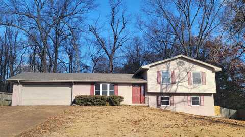 1900 Mt. Vernon, Jonesboro, AR 72401