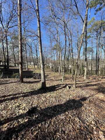 Scarlet Maple Ct, Little Rock, AR 72223