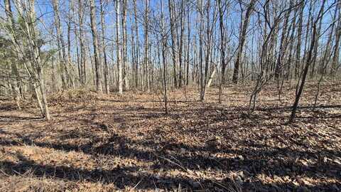 Teludachee Trail lot: 61, South Pittsburg, TN 37380
