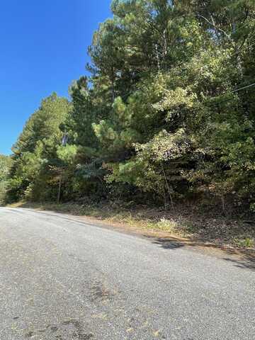 902 Chestnut Wood Lane, Chattanooga, TN 37421