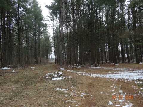 5525 S CROTON HARDY DRIVE, NEWAYGO, MI 49337