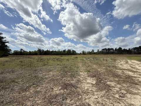 Lot 7 Apple Valley Rd., Loris, SC 29569