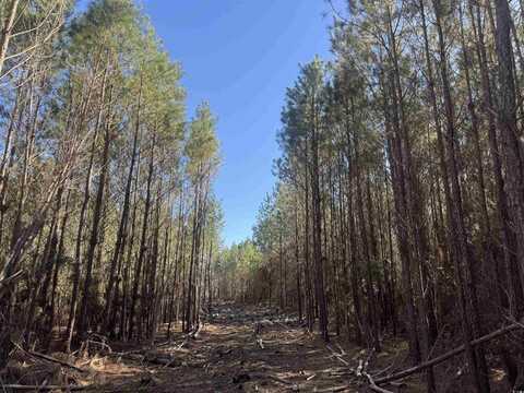 8862 Ware Dr., Nichols, SC 29581