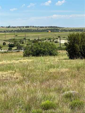 Lot 235 Bucknell Drive, Colorado City, CO 81019