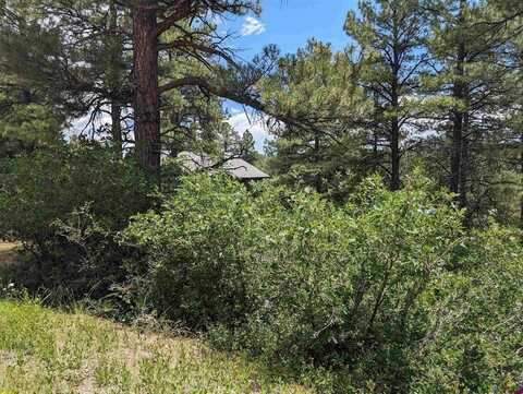 90 Balfour Court, Pagosa Springs, CO 81147