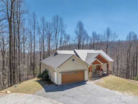 6753 Pinnacle Mountain Road, Zirconia, NC 28790