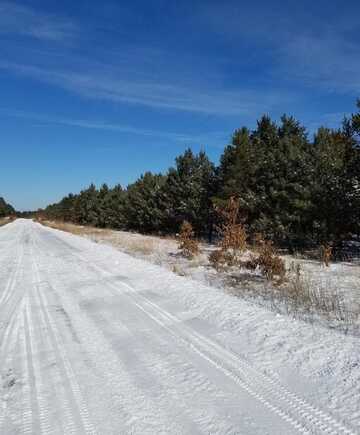 ON 13TH AVENUE, Nekoosa, WI 54457