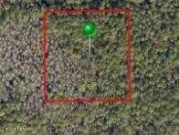 X No Street County, DeLand, FL 32724