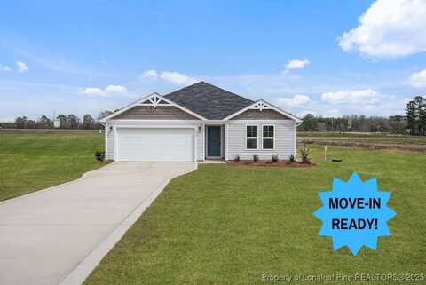 96 Buggy Top (Lot 27) Lane, Autryville, NC 28318