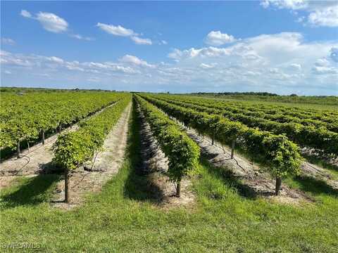5567 5th Road, Labelle, FL 33935