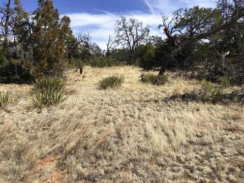 Gabe Road lot: 651, Ramah, NM 87321