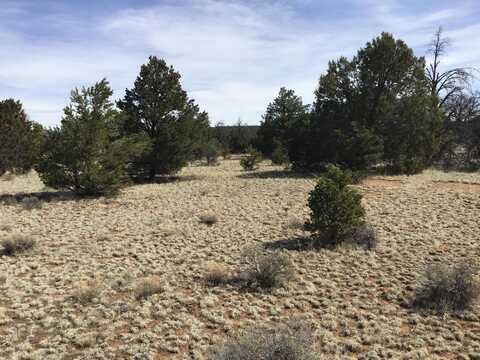 Country Lane lot: 15, Ramah, NM 87321