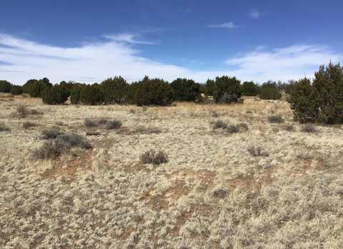 Country Lane lot: 16, Ramah, NM 87321