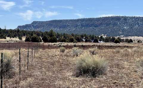 Tract C-1 Forest Road 157, Ramah, NM 87321