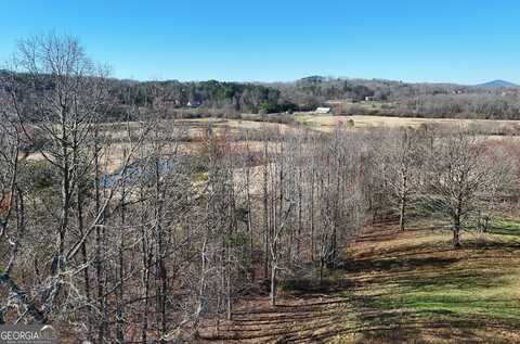 Lot 195 OLD Owen Glen, Blairsville, GA 30512