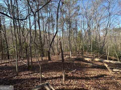 Lt10&11r Villa, Ellijay, GA 30540