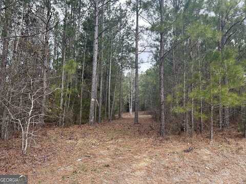 0 Russel Ridge, Elberton, GA 30635
