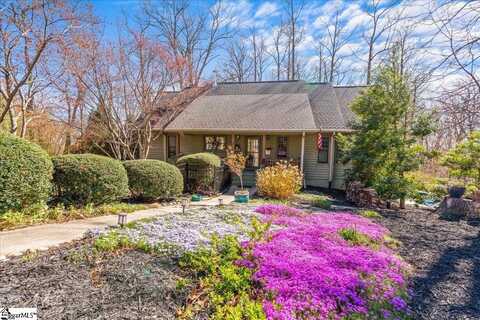 3 Rocky Gap Court, Landrum, SC 29356