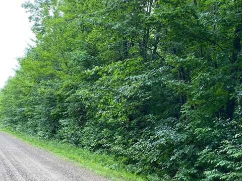 On JOE SNOW RD, Merrill, WI 54452