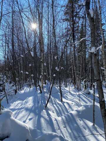 Near SPRINGSTEAD RD, Park Falls, WI 54552