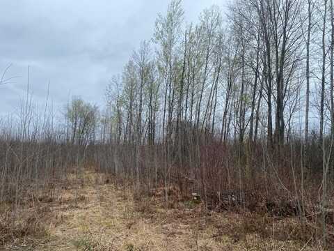 On WEST END DR, Merrill, WI 54452
