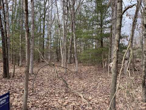 Aspen Drive, Allegan, MI 49010