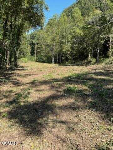 439 CANEY CREEK RD, Pigeon Forge, TN 37863