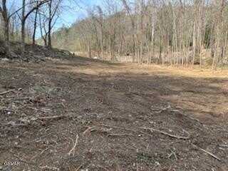 439 CANEY CREEK RD Road, Pigeon Forge, TN 37863
