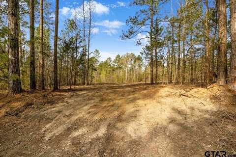 19178 County Road 2154 Lot 4, Troup, TX 75789