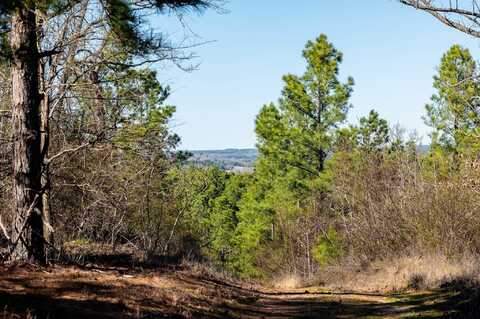 TBD Hwy 64, Ben Wheeler, TX 75754