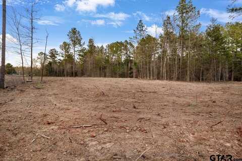 19210 County Road 2154 Lot 3, Troup, TX 75789