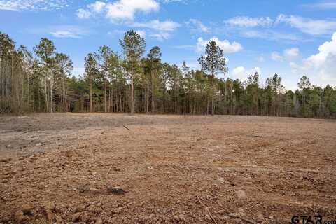 19140 County Road 2154 Lot 5, Troup, TX 75789