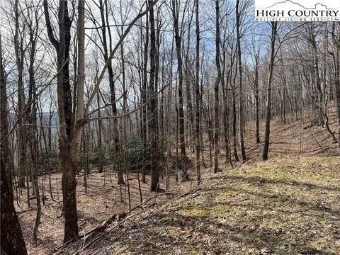 Unk Maple Branch Road, West Jefferson, NC 28694