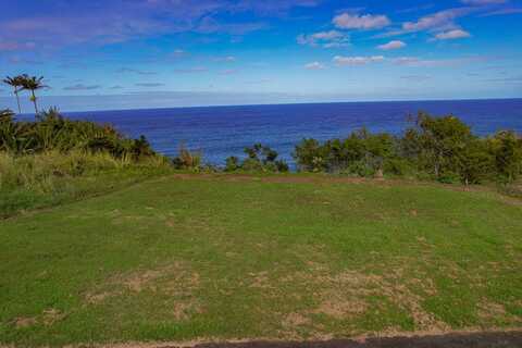 32-2643 Pali Ku Place, Ninole, HI 96773