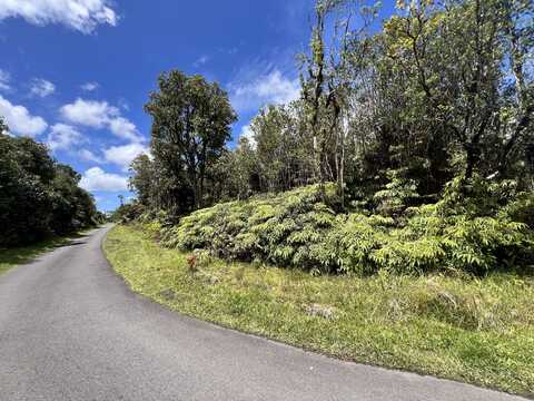 undefined, MOUNTAIN VIEW, HI 96771
