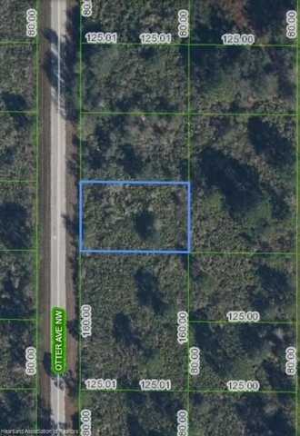 228 NW OTTER Street, Lake Placid, FL 33852