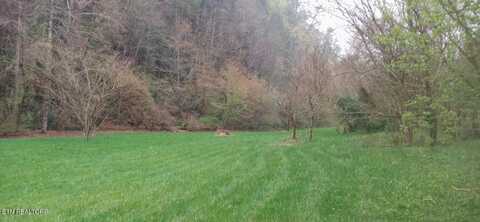 Wilhite Rd, Cosby, TN 37722