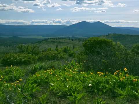 Fur Trapper Drive, Chiloquin, OR 97624