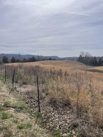Lot 1 Wolfe Branch Road S, Bulls Gap, TN 37711