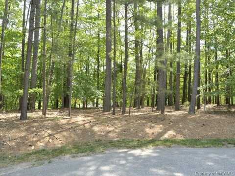108 Colonel Philip Johnson, Williamsburg, VA 23185