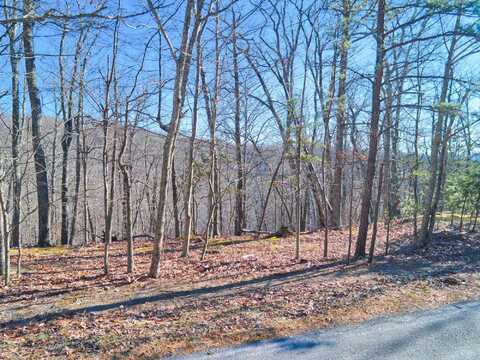 Lot 11 Susannah Drive, Blacksburg, VA 24060